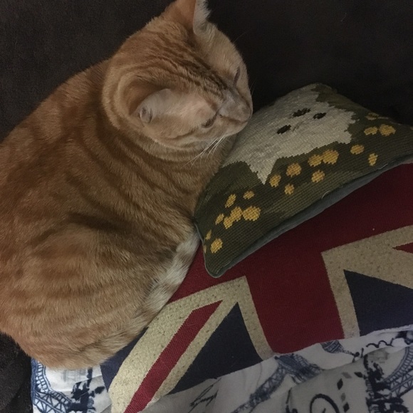 Reduce, Re-Use, Recycleโป๏ธEco-friendly packaging.๐ - Picture 5 of 8